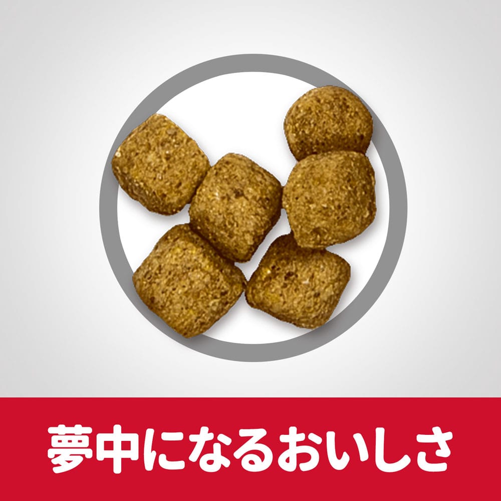 サイエンス・ダイエット ドッグフード 肥満傾向の高齢犬用 シニアライト 7歳以上 チキン 3.3kg 肥満傾向の高齢犬用 シニアライト 7歳以上 チキン 3.3kg