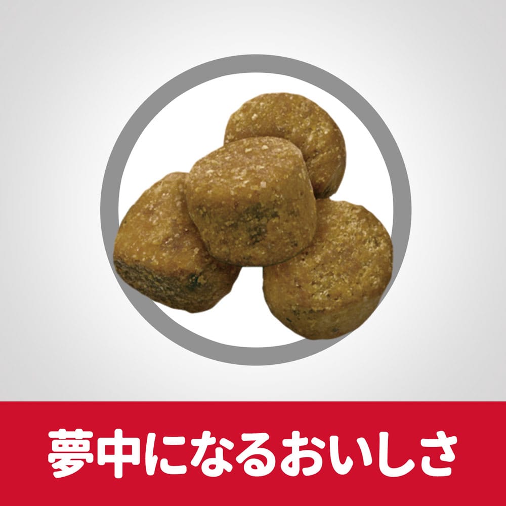サイエンス・ダイエット ドッグフード 肥満傾向の成犬用 ライト 1歳～6歳 チキン 3.3kg 肥満傾向の成犬用 ライト 1歳～6歳 チキン 3.3kg
