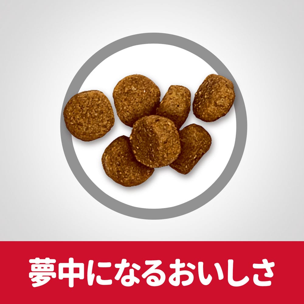 サイエンス・ダイエット ドッグフード 子いぬ用 パピー 12ヶ月まで 小粒 チキン 3.3kg 子いぬ用 パピー 12ヶ月まで 小粒 チキン 3.3kg