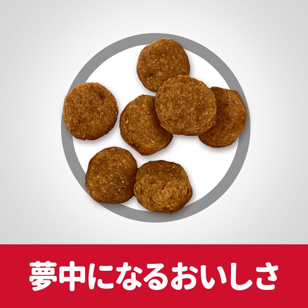 ヒルズ サイエンス・ダイエット ドッグフード アダルト 1歳～6歳 小粒 成犬用 チキン 1.4kg　×６個セット