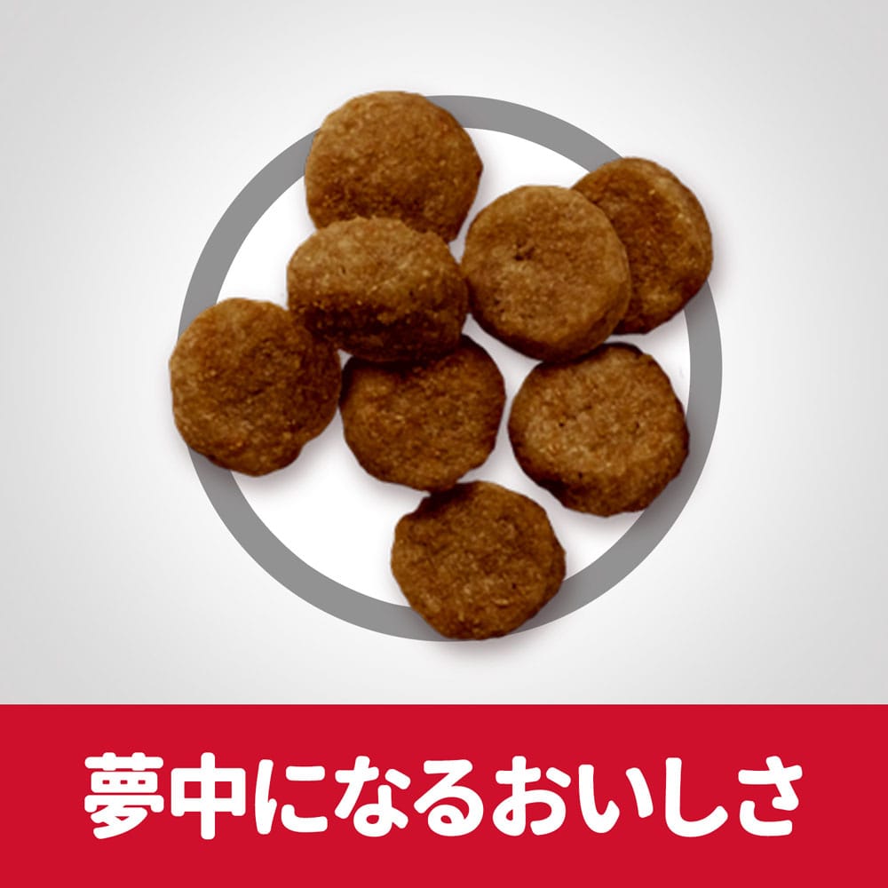 ヒルズ サイエンスダイエット 小型犬用 チキン味 12.5キロ2袋