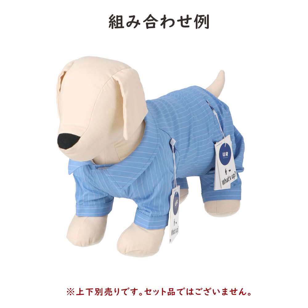 URBAN RESEARCH ピンマナーパンツ　サックス５号 サックスブルー ５号