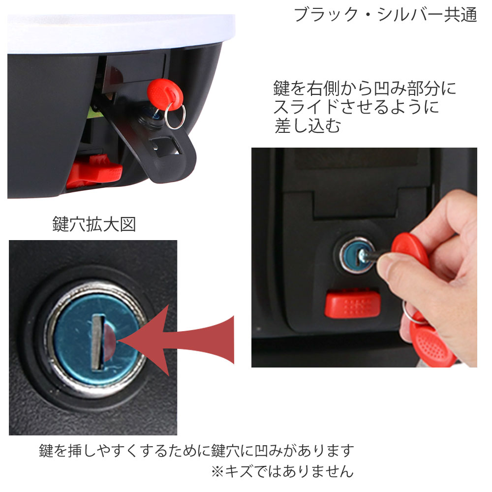 めちゃ早便 】リアＢＯＸ シルバー Ｄ－１０－ＳＬ 容量：約30L 