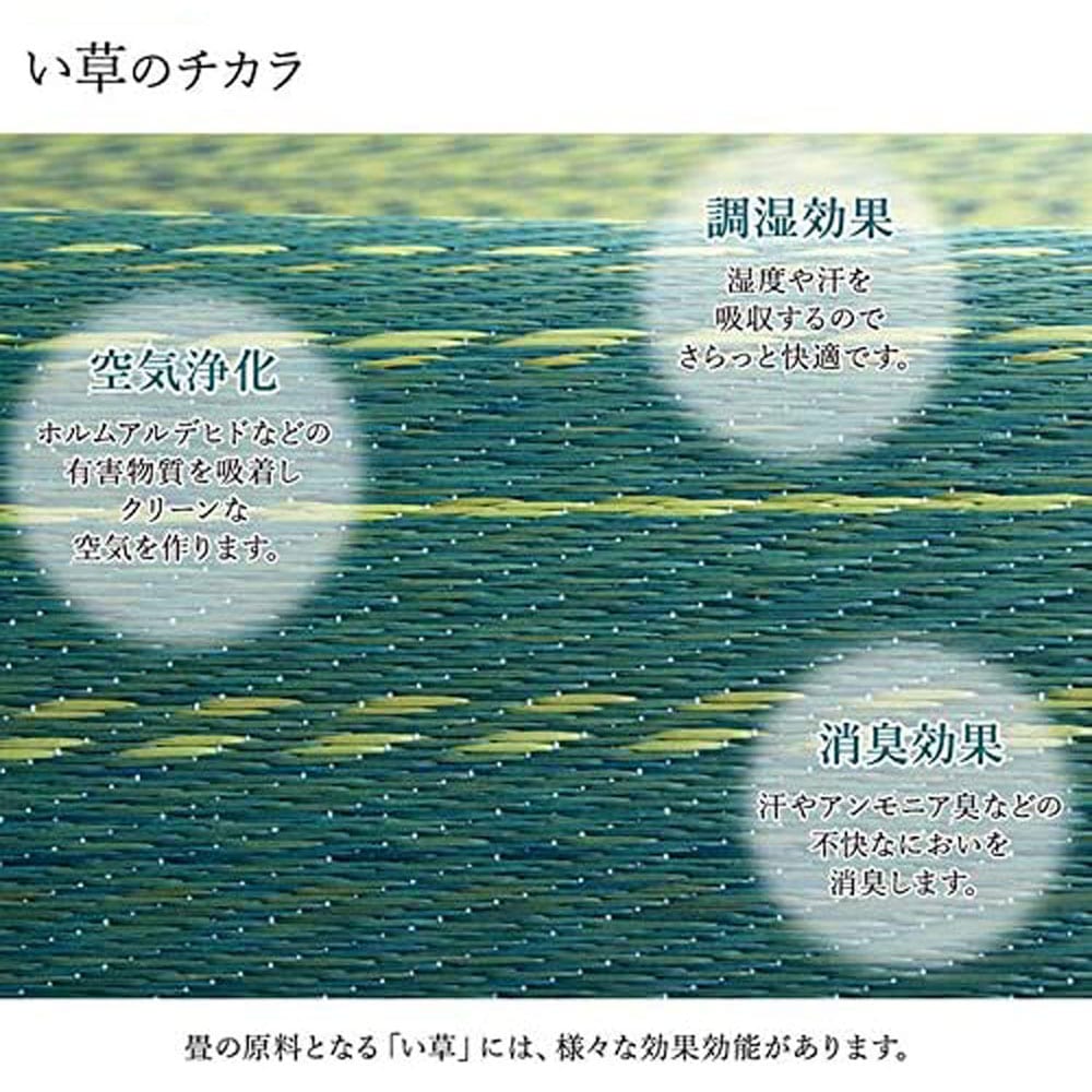 イケヒコ 日本製 国産 い草 ヨガマット ボタニックブラック 約66ｘ185cm ボタニックブラック 車 自転車 レジャー ホームセンター コーナンの通販サイト