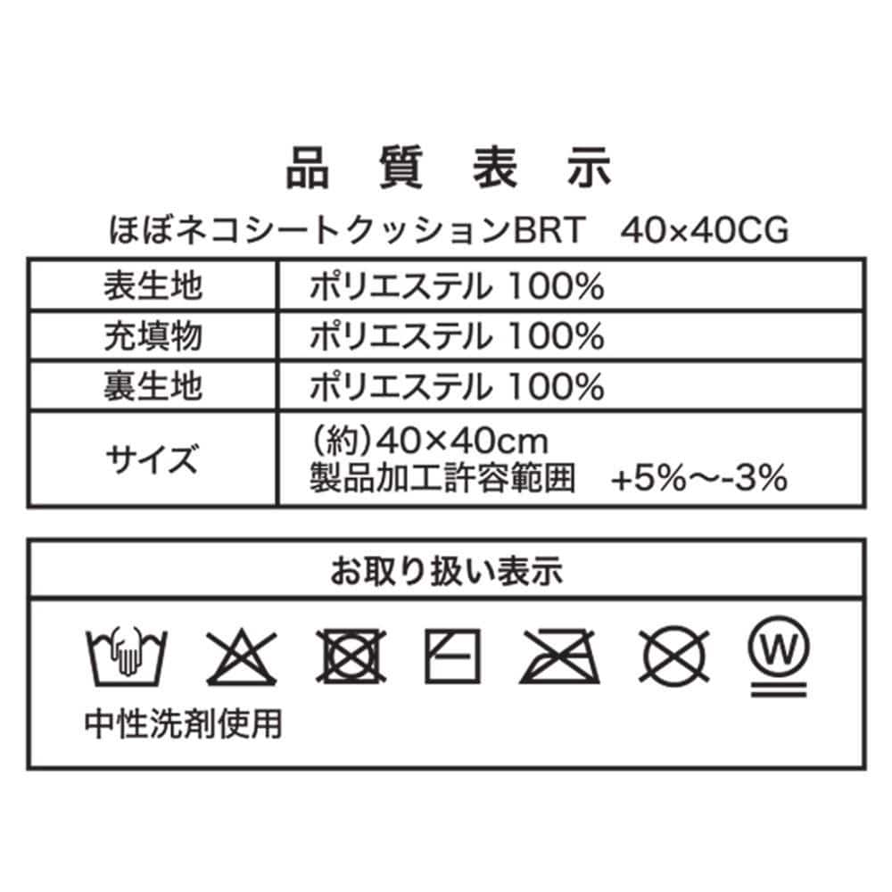 LIFELEX　ほぼネコシートクッション　ブリティッシュ　４０×４０　チャコールグレー ブリティッシュ