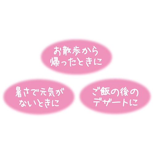 ごほうびプチアイス　バニラ風味１５個入り