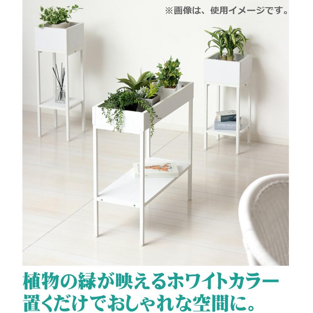 クロシオ　プランタースタンド棚付　ロー　白木目 ロー　白木目