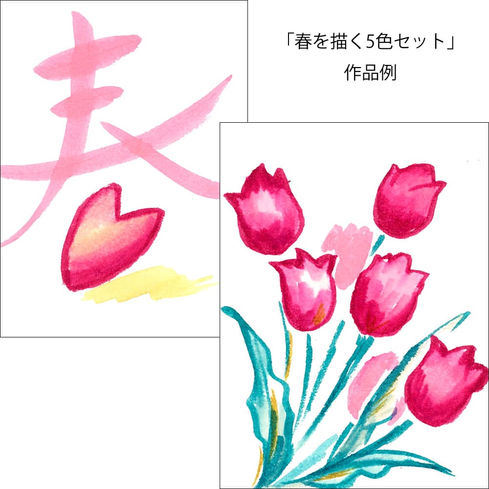 彩５色セット春　ＣＡ２００／５ＶＡ