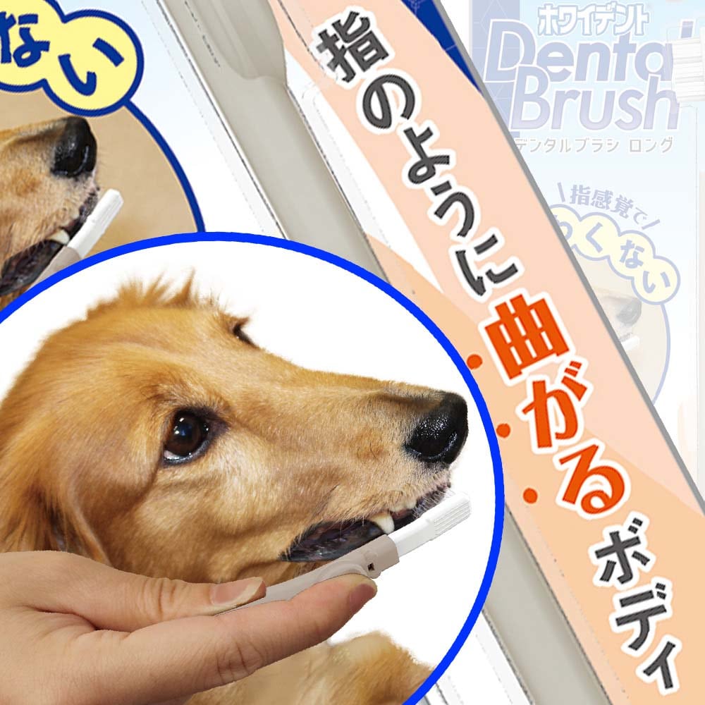 ドギーマンハヤシ　ホワイデントデンタルブラシロング 犬用