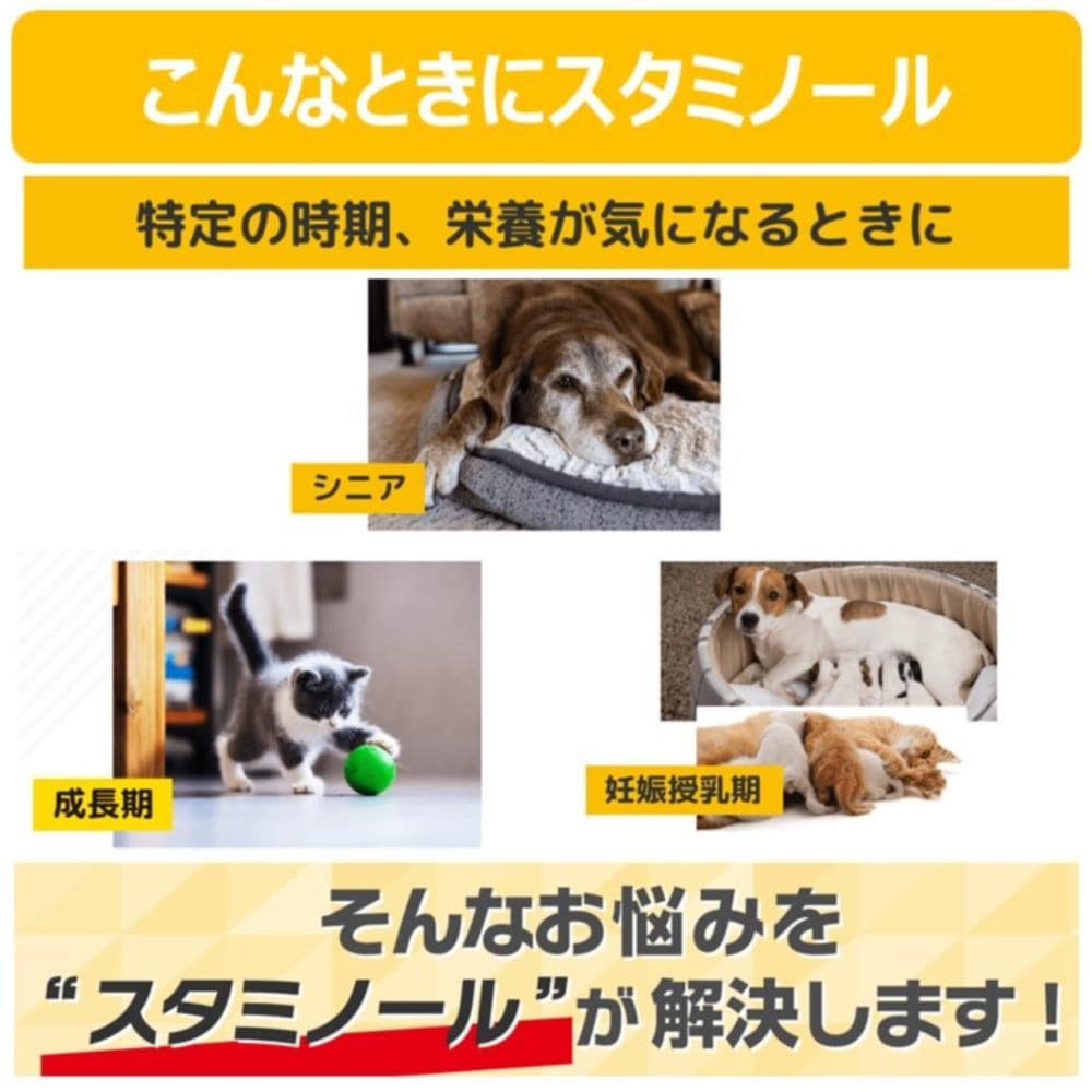 アース・バイオケミカル　スタミノール　３３ｇ