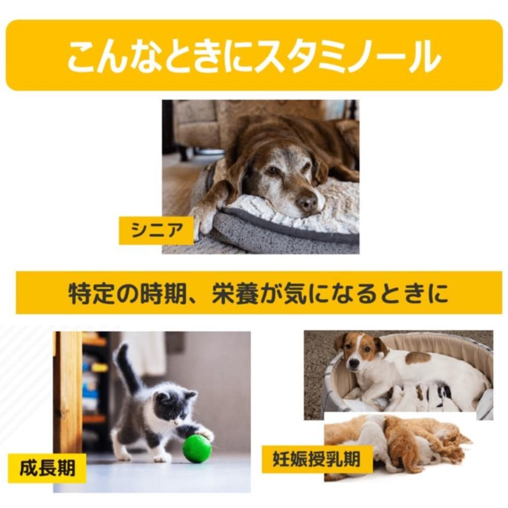 アース・バイオケミカル　スタミノール　関節ケア　１００ｇ スタミノール　関節ケア