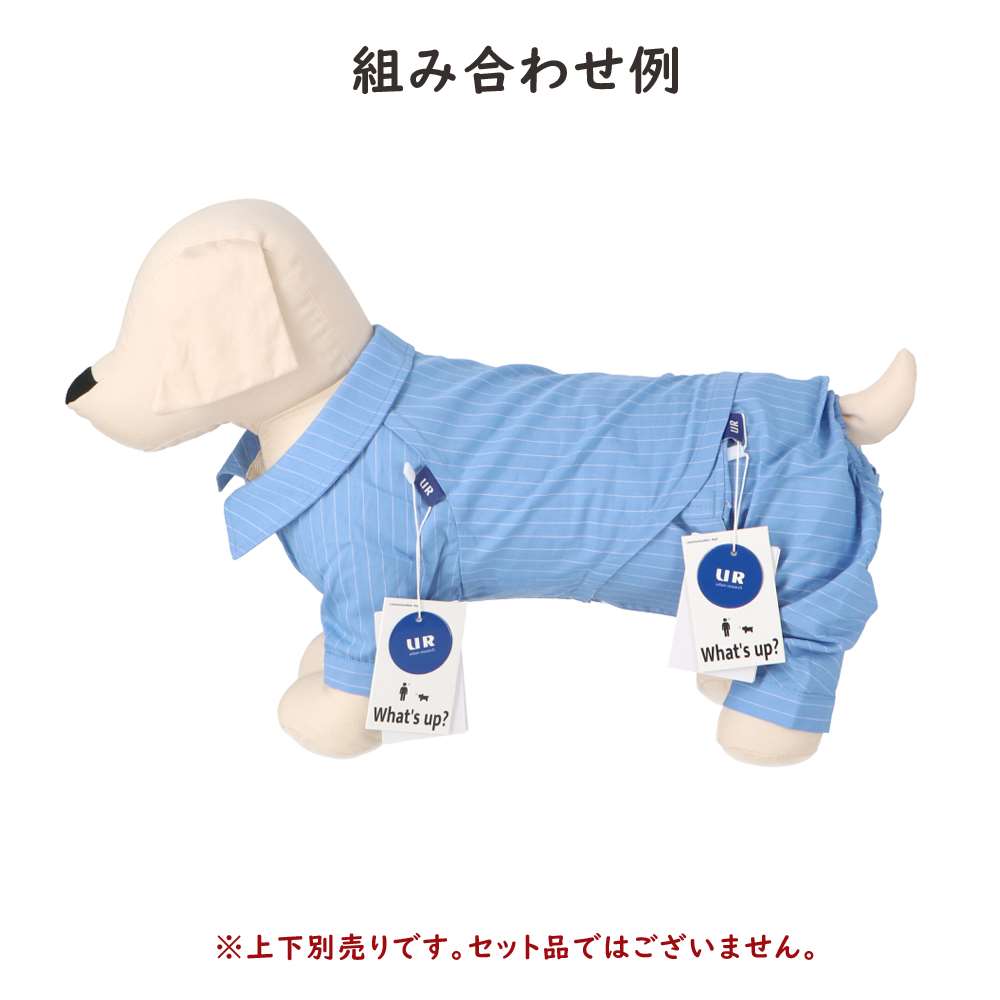 URBAN RESEARCH ピンマナーパンツ　サックス５号 サックスブルー ５号