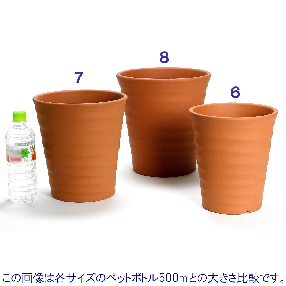 フラワーロード ６号　赤焼 ６号　赤焼