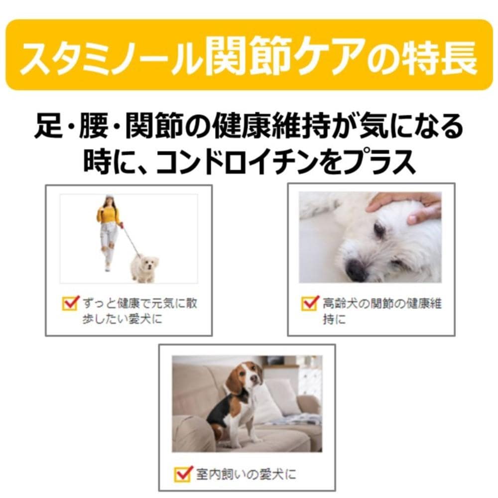 アース・バイオケミカル　スタミノール　関節ケア　１００ｇ スタミノール　関節ケア