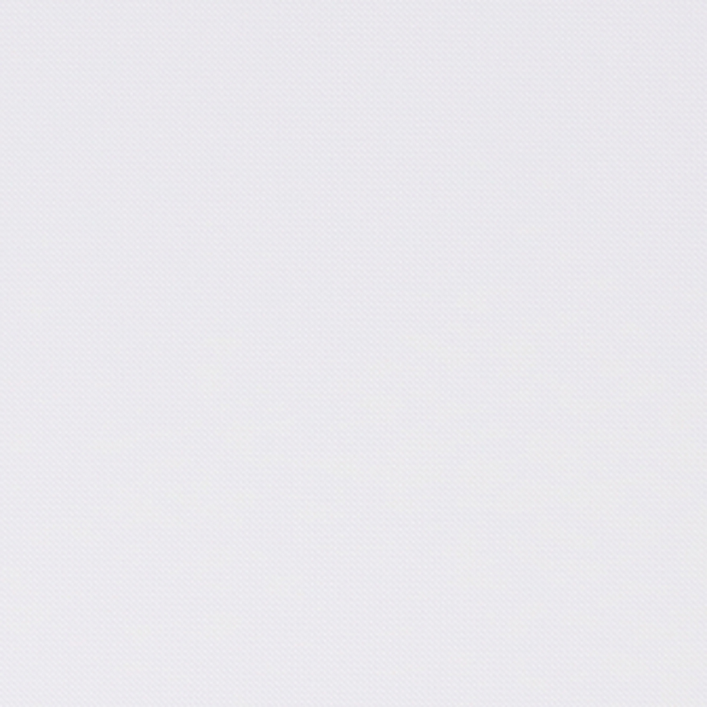 ホワイト