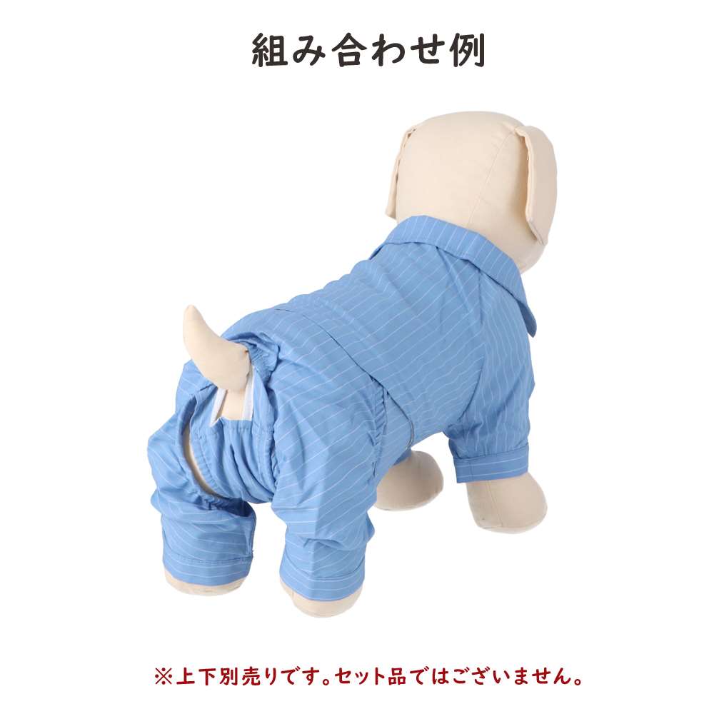 URBAN RESEARCH ピンマナーパンツ　サックス５号 サックスブルー ５号