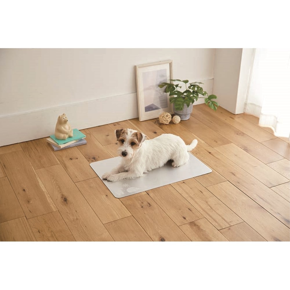 LIFELEX アルミひんやりプレートM 40×60 アイスベア― M