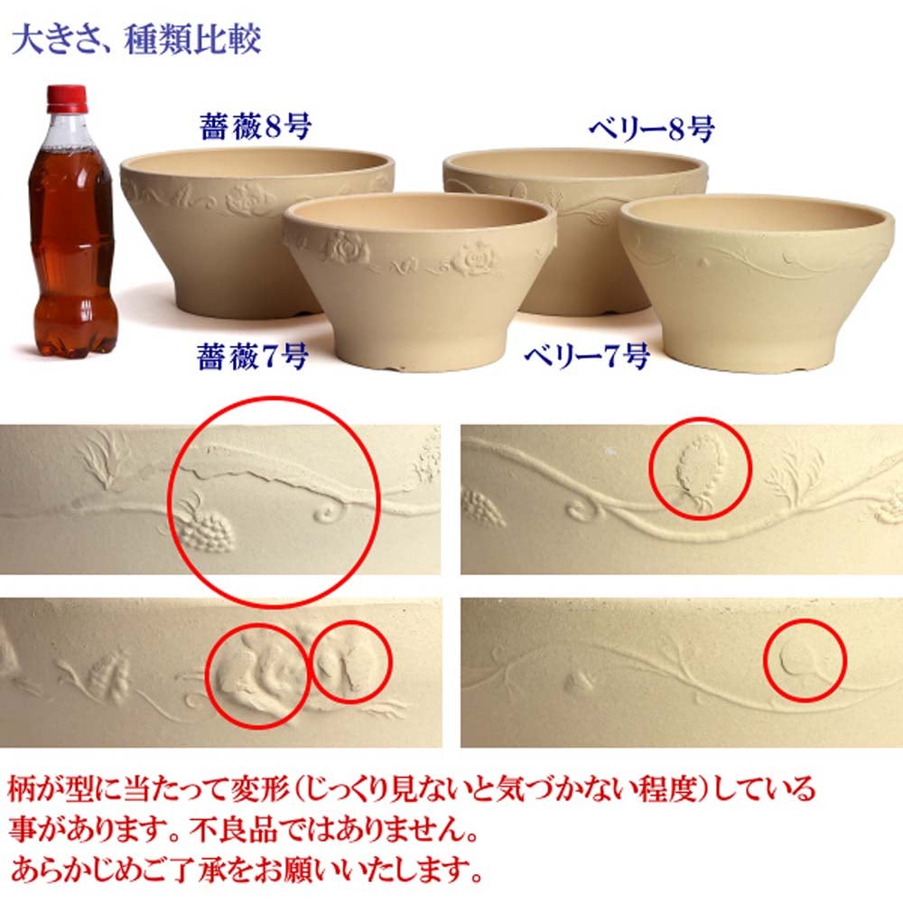 ナチュラル　ベリー ８号　白焼 ８号