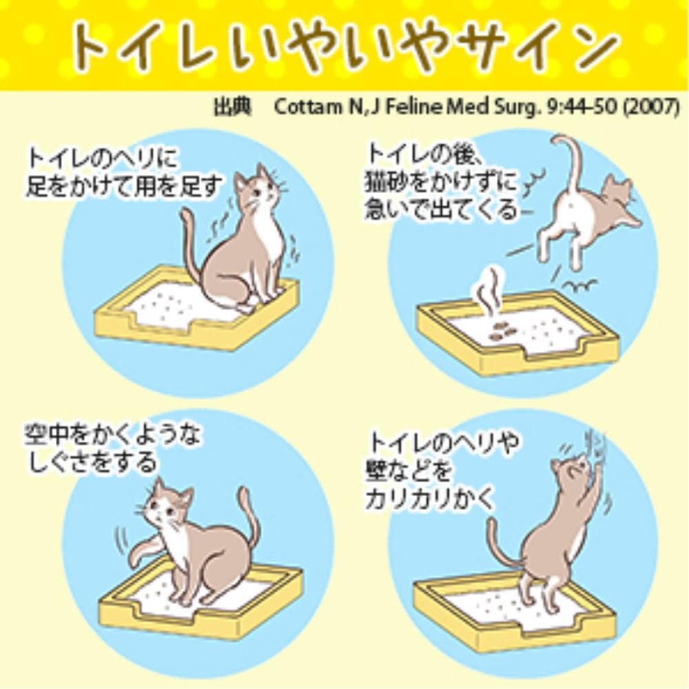 ライオン商事　獣医師開発猫トイレ　１台 1台