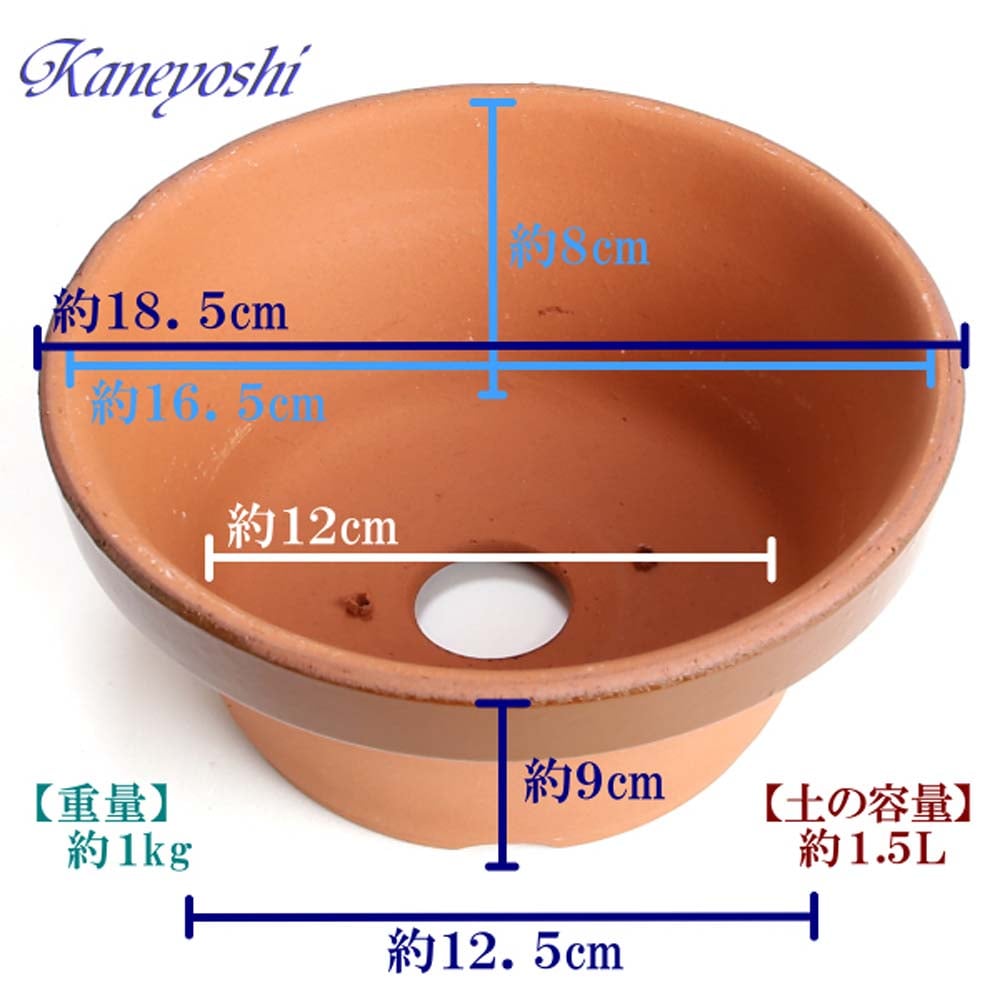 駄鉢　浅　６号 土容量：約１．５Ｌ ６号浅