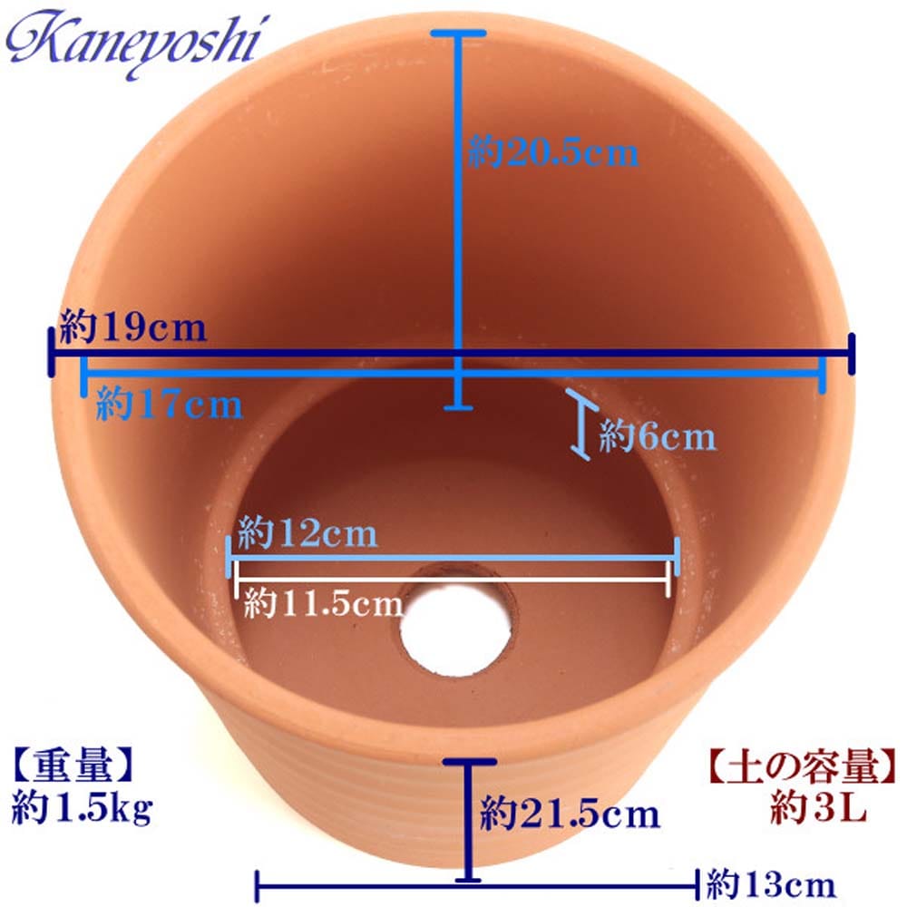 フラワーロード ６号　赤焼 ６号　赤焼