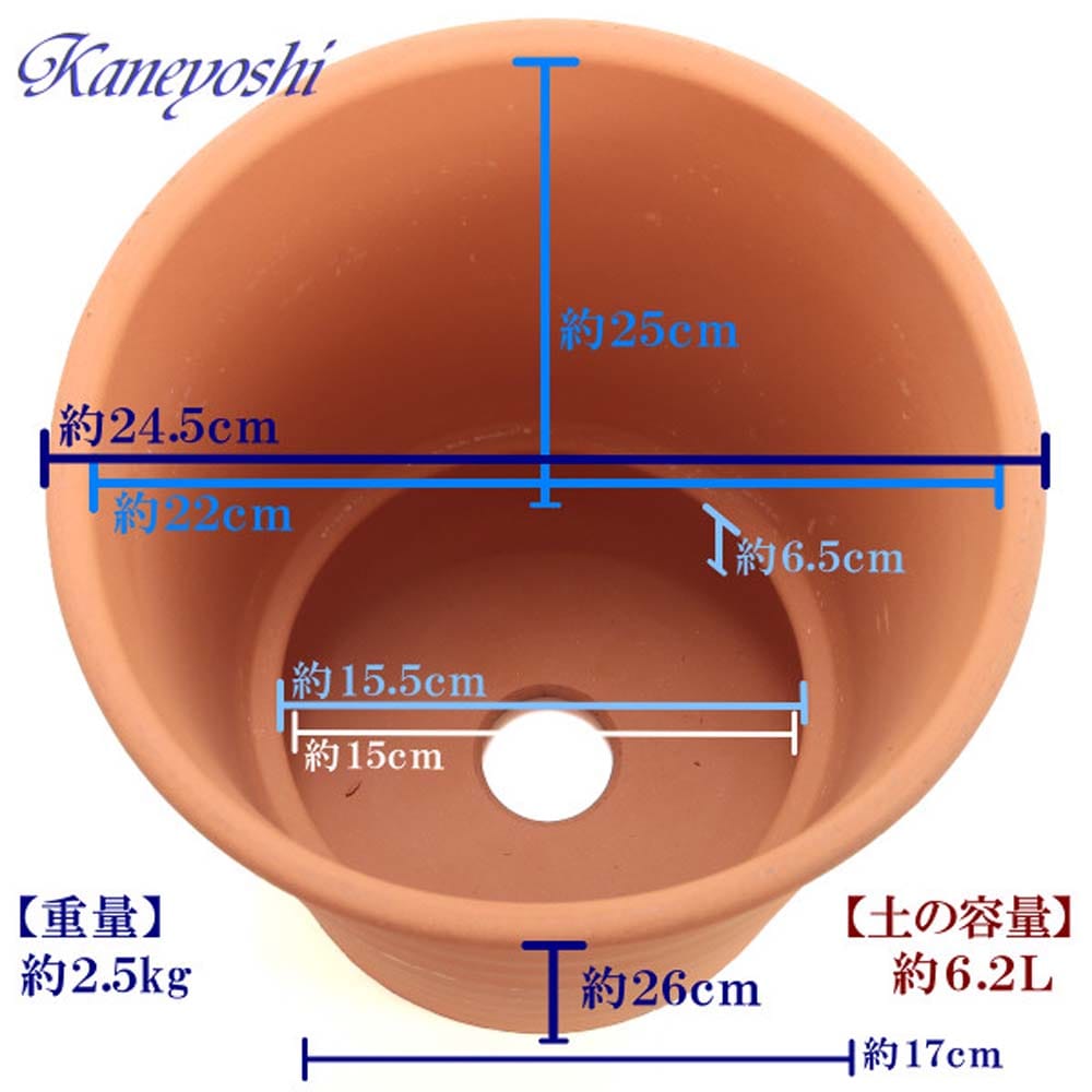 フラワーロード ８号　赤焼 ８号　赤焼