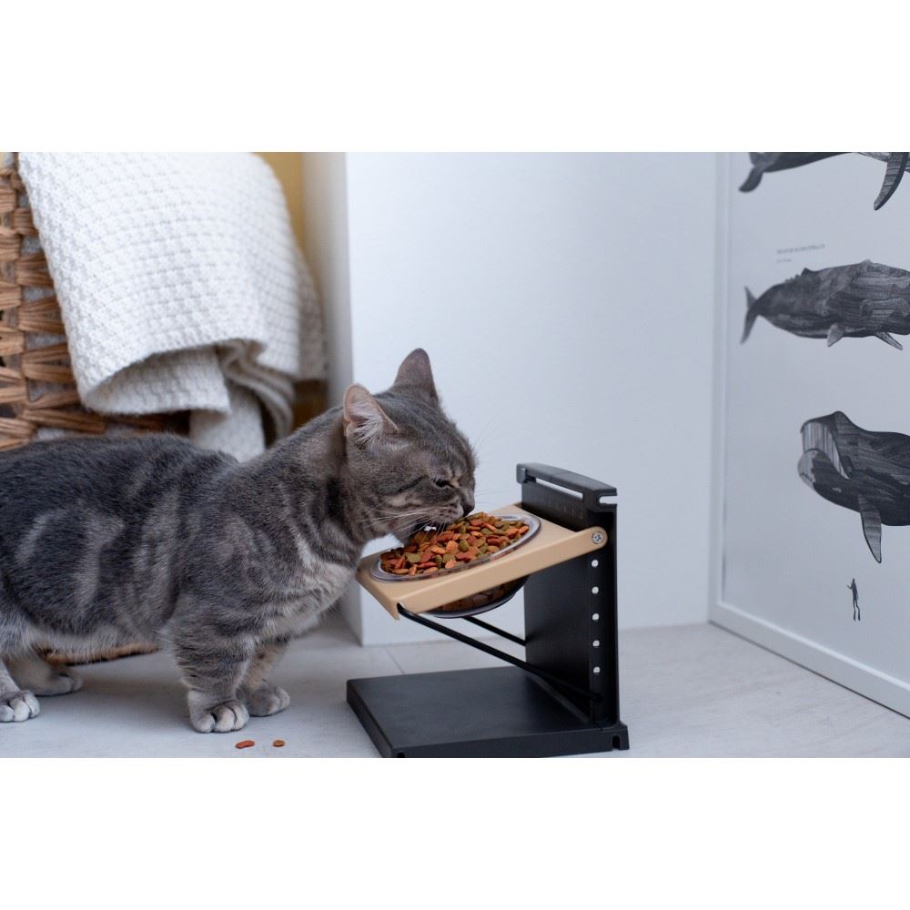 LIFELEX 高さと角度が変えられる猫用食器台　ＰＪ１２－０３８４　ブラック
