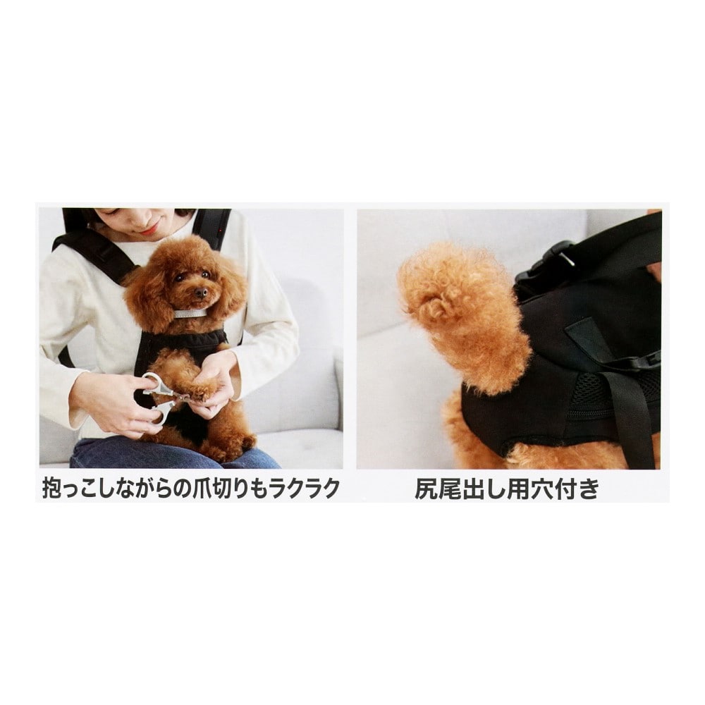 LIFELEX　抱っこキャリー　ブラック　ＳＳ１２－５４９０