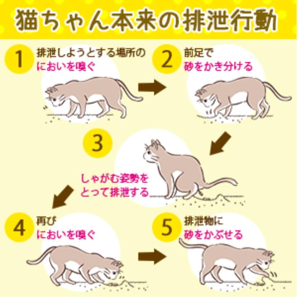 ライオン商事　獣医師開発猫トイレ　１台 1台