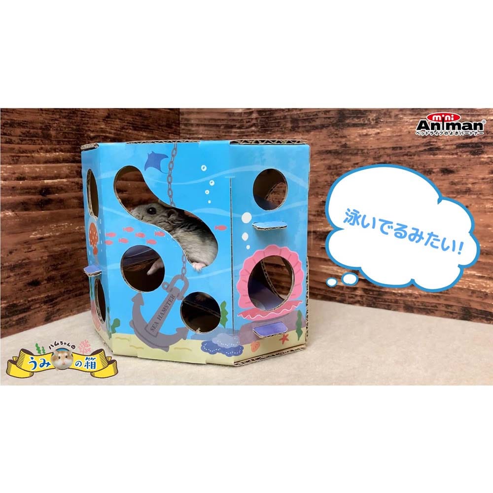 ドギーマンハヤシ　ハムちゃんうみの箱 １個