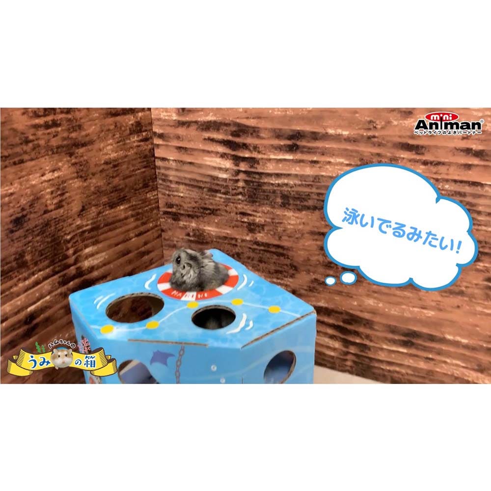 ドギーマンハヤシ　ハムちゃんうみの箱 １個