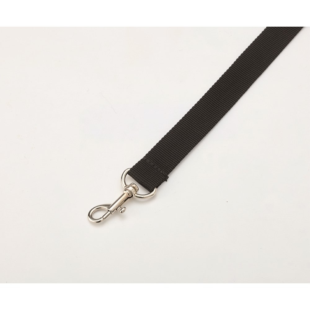 LIFELEX　キャンバスキャリー　ベージュ　ＳＳ１２－５５２０