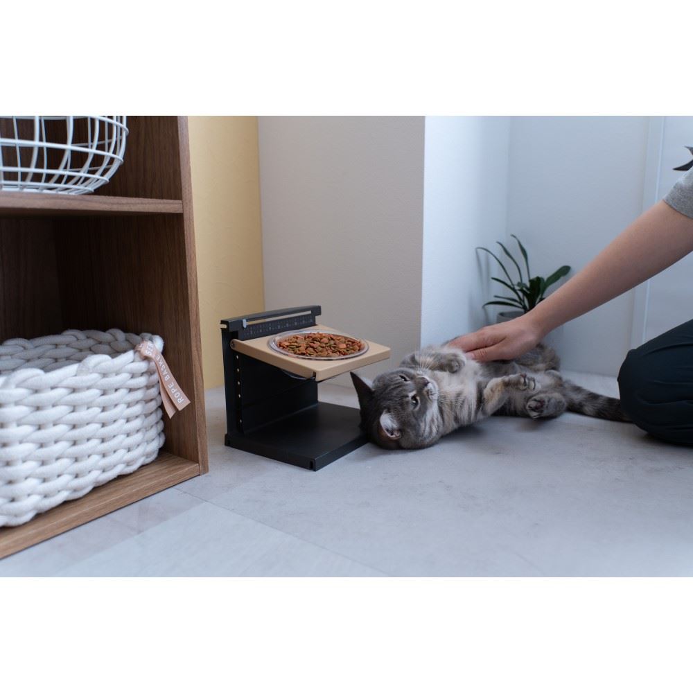 LIFELEX 高さと角度が変えられる猫用食器台　ＰＪ１２－０３８４　ブラック