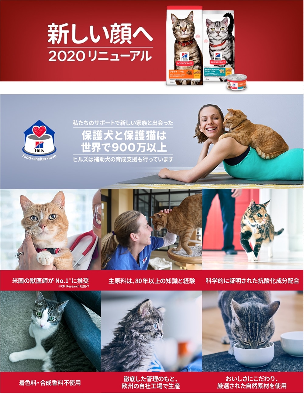 人気のクリスマスアイテムがいっぱい！-ヒルズ シニアチキン高齢猫用1