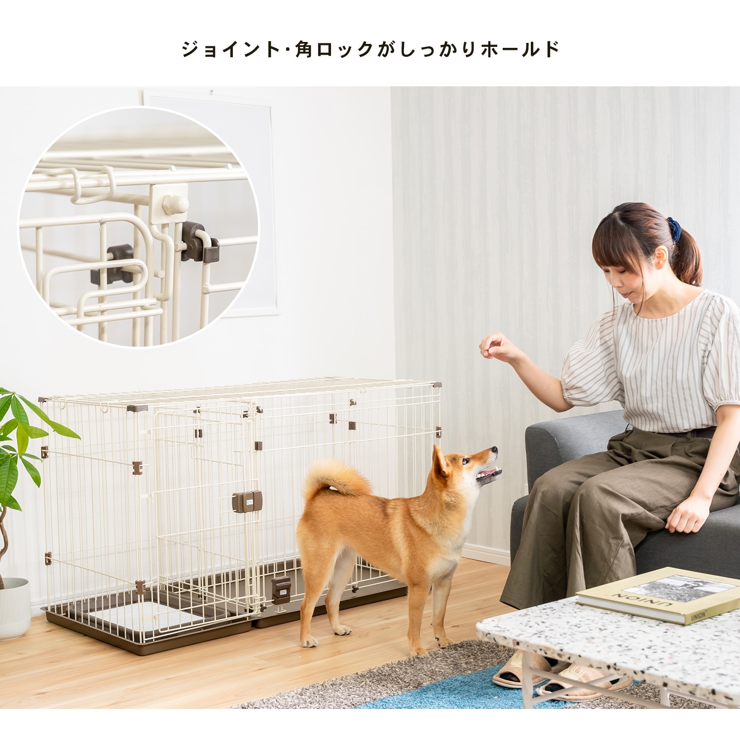 最先端 犬小屋 ペットケージ ペットサークル ２ルームサークル オリジナル コーナン かご おり Www Ucs Gob Ve