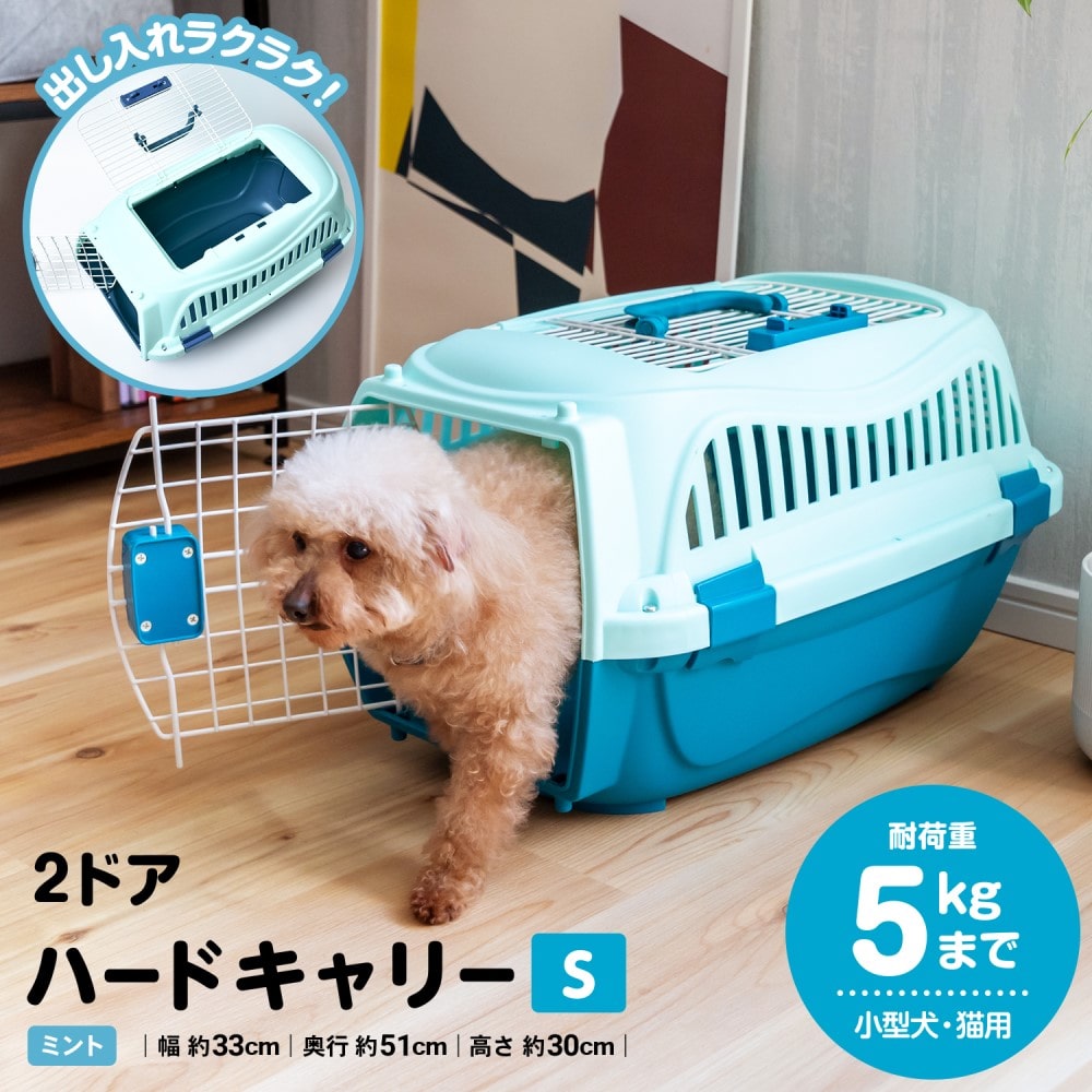 ２ドアハードキャリーＳ　ミント