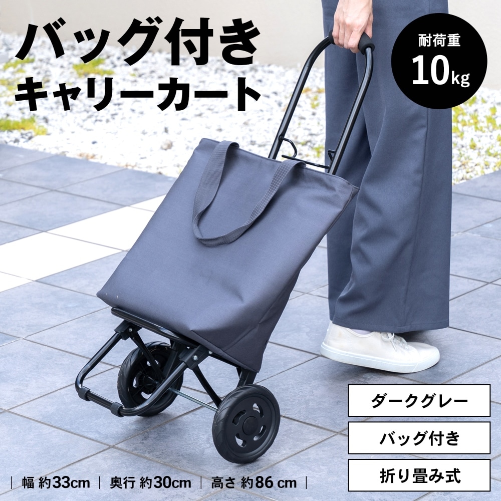 LIFELEX ショッピングカートＳＭＲ０３１ ダークグレー(ダークグレー): 生活用品・キッチン用品|ホームセンターコーナンの通販サイト