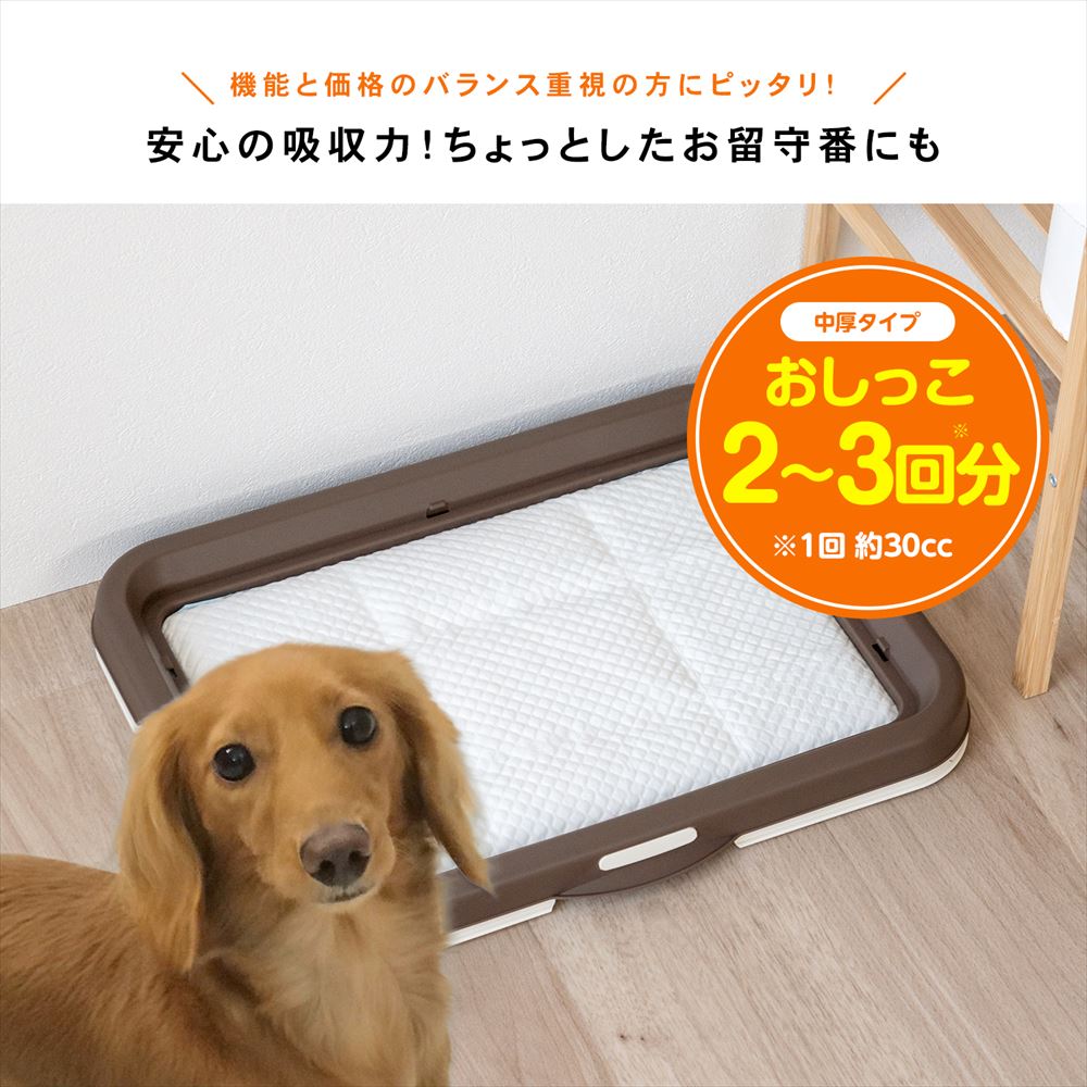 LIFELEX　ペットシーツ　レギュラー　２００枚　[吸収の目安：おしっこ 2～3回] レギュラー　２００枚