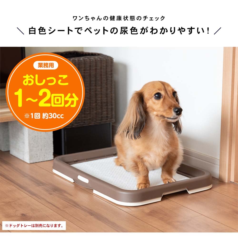LIFELEX　業務用ペットシーツ　　レギュラー　４００枚（２００枚×２袋） ×２個セット ４００枚（２００枚×２袋） ×２個セット