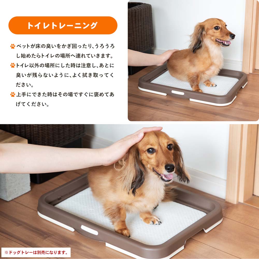 LIFELEX　業務用ペットシーツ　　レギュラー　４００枚（２００枚×２袋） ×２個セット ４００枚（２００枚×２袋） ×２個セット