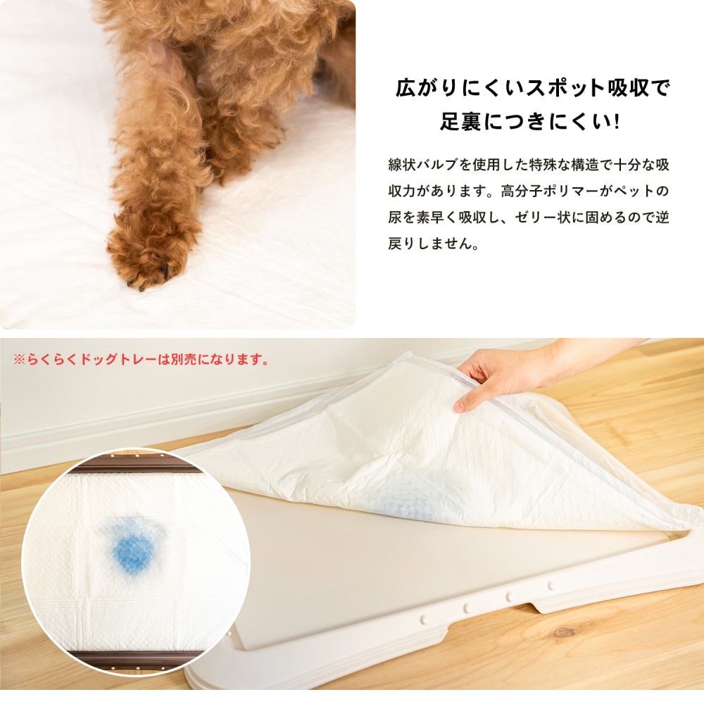 LIFELEX　強力消臭ペットシーツ　ワイド　５０枚入り　ＫＴＳ１２－３１６４ ワイド・50枚