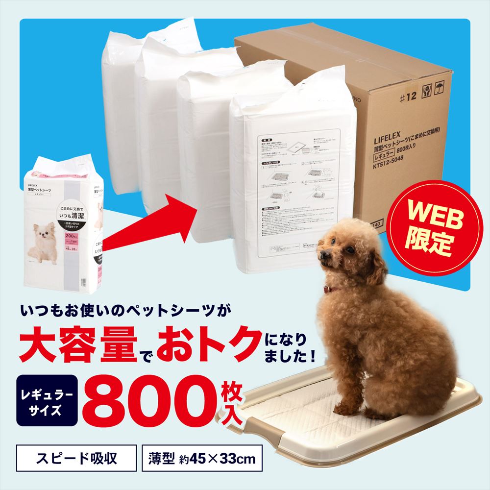 【 定期購入対象商品 基本送料無料＋5％割引！！ 】薄型ペットシーツ レギュラー ８００枚 通販限定品 レギュラー ８００枚