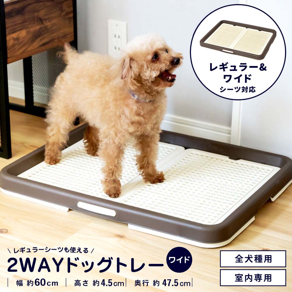市場 片手でらくらく ブラウン ワイド ドッグトレー