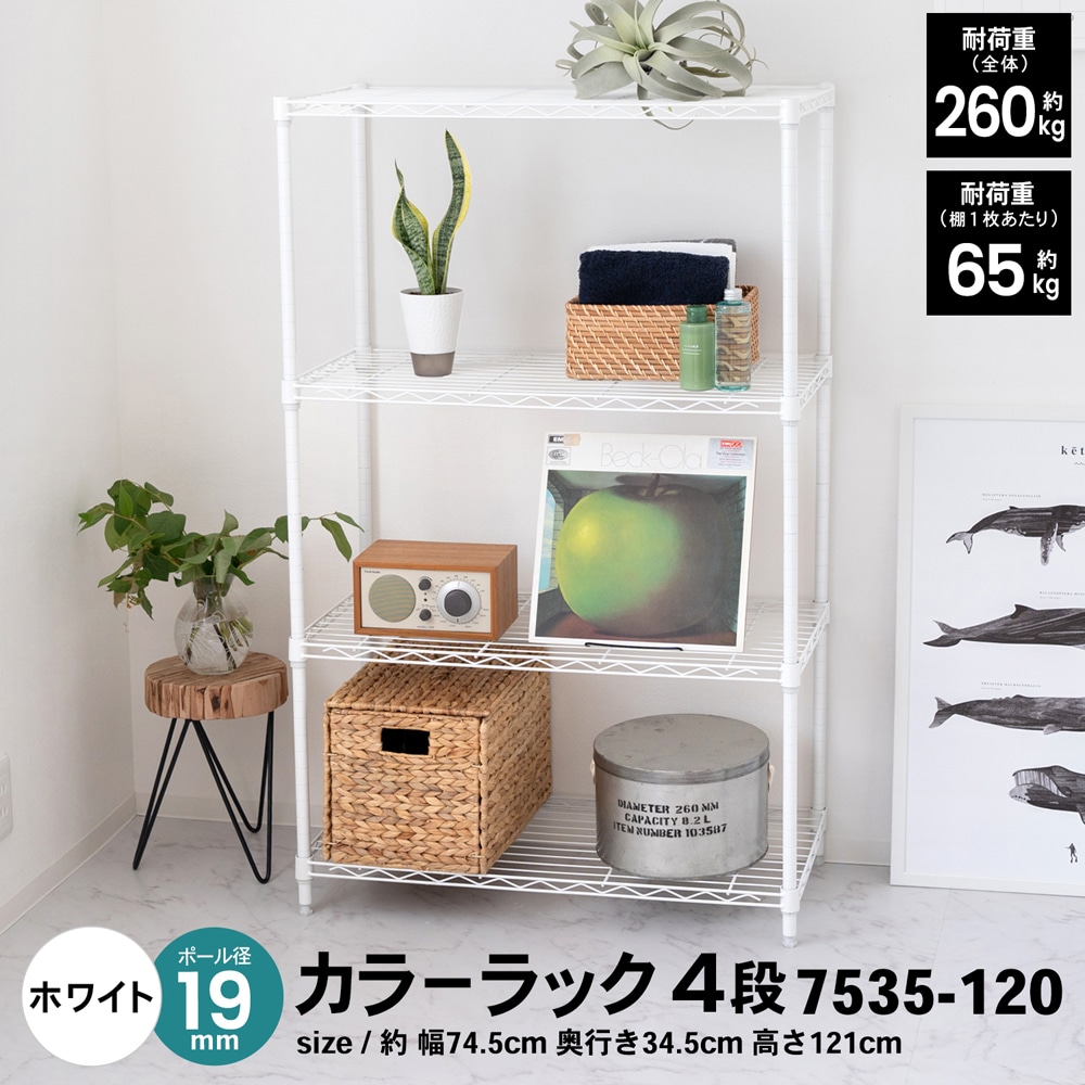 LIFELEX カラーラック４段ホワイト　１９Φ　７５３５－１２０ ホワイト