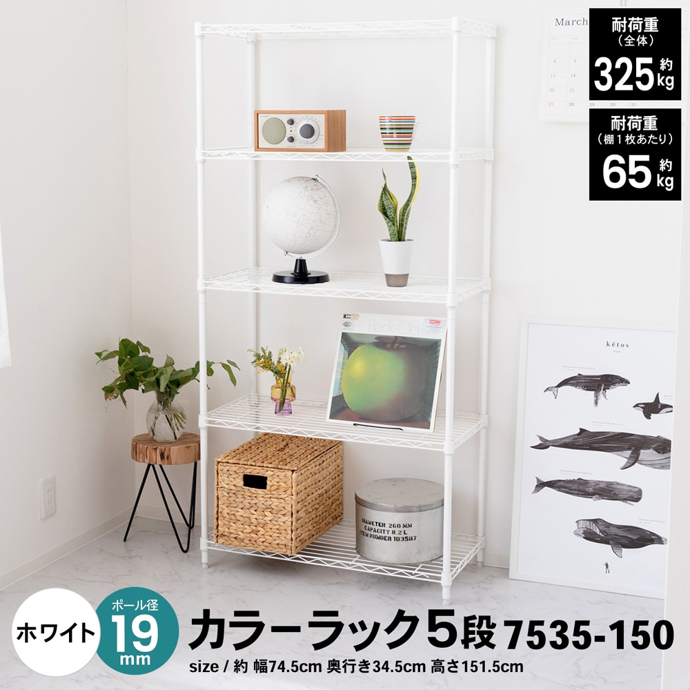 新発売】 コーナンオリジナル <br>LIFELEX １９Φシステムラック ノーマルキャスター２Ｐ １９−ＣＳＮ<br> 