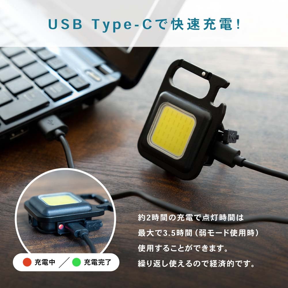 LIFELEX USB充電式ミニＬＥＤライト ６Ｗ ５００ｌｍ ＣＡＭ０２ ...