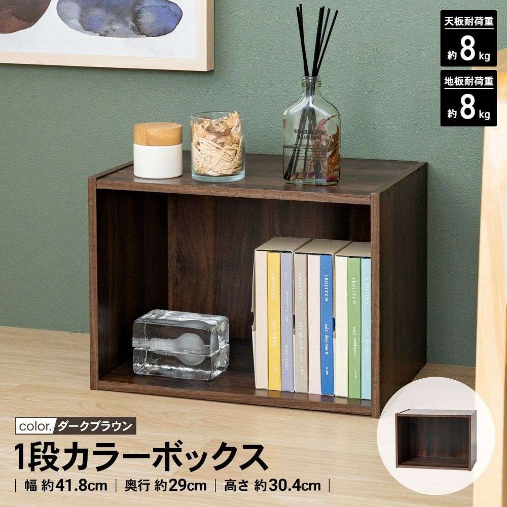 LIFELEX 1段カラーボックス ダークブラウン β ダークブラウン 1段
