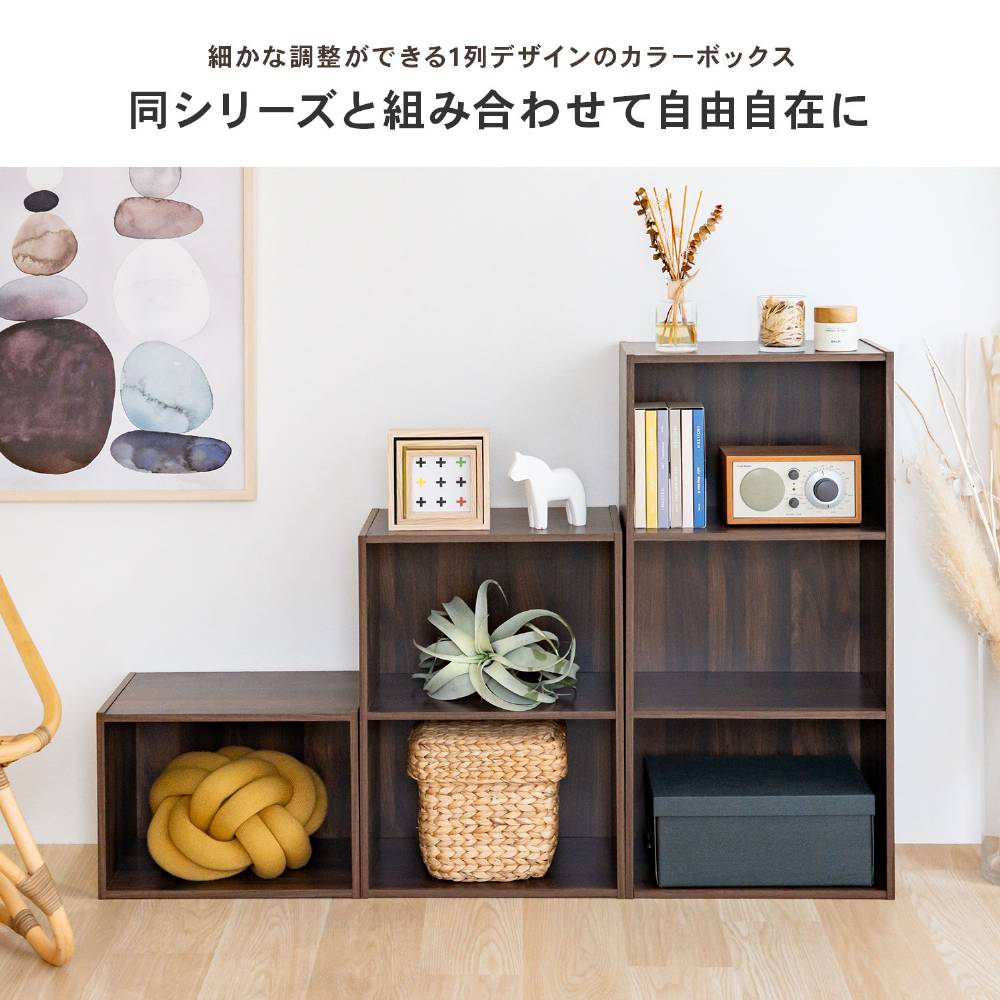 LIFELEX 1段カラーボックス ダークブラウン β ダークブラウン 1段