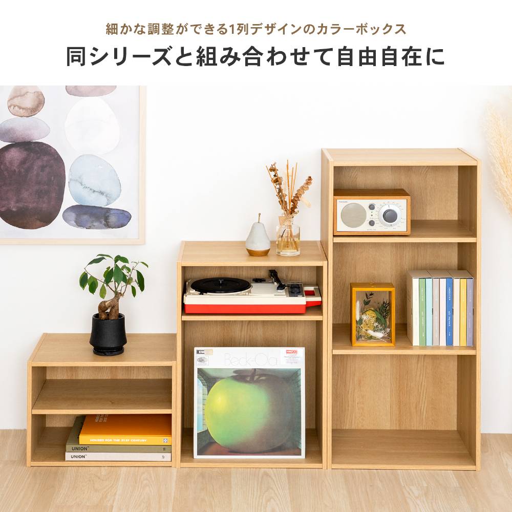 LIFELEX 1段カラーボックス 可動棚 オーク β オーク 1段 可動棚