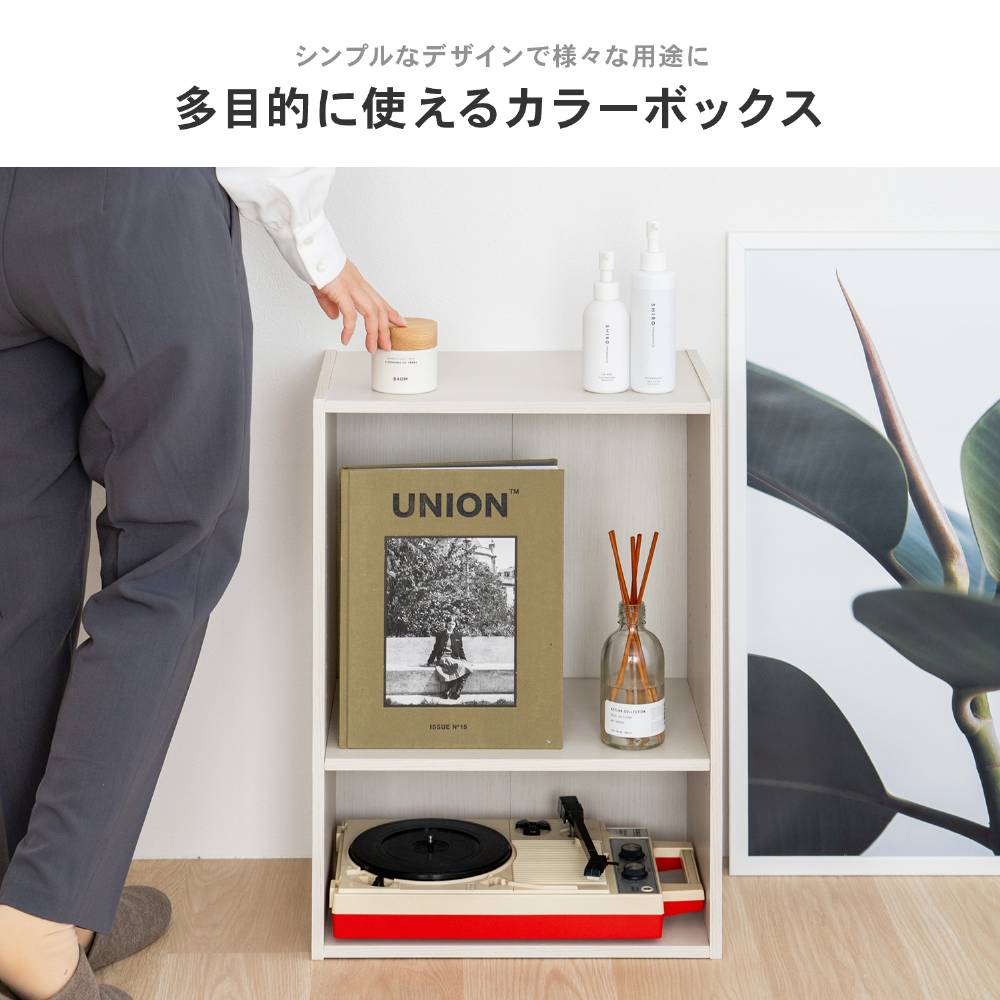 LIFELEX　２段カラーボックス　可動棚　ホワイト　β ホワイト 2段 可動棚